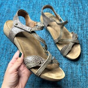Taos Ziggie Strappy Sandals in Beige Women's Size 9-9.5 or Euro 40
